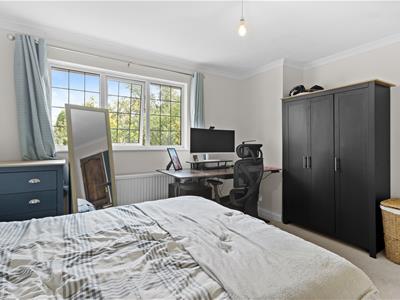 Picture 25